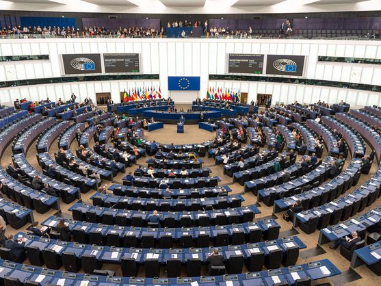 Alemania, Francia e Italia bloquean la ley europea que pretendía poner coto a la vulneración de los derechos humanos