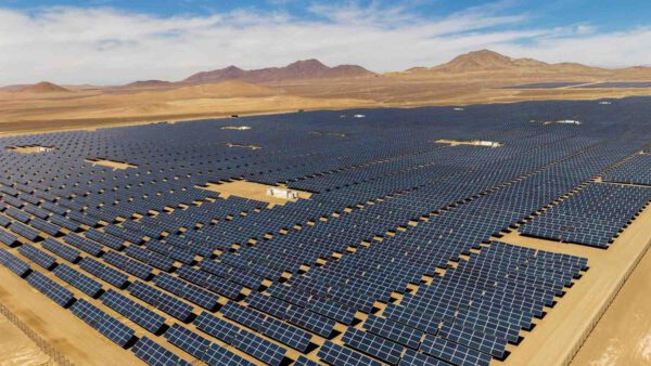 Una nación cubre por completo su desierto con paneles solares y lo que ocurre transforma el ecosistema para siempre