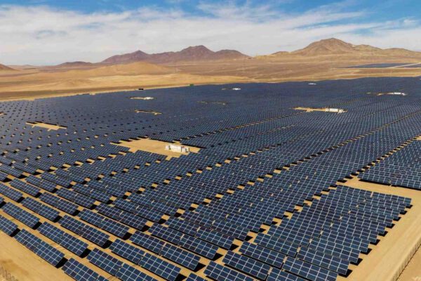 Una nación cubre por completo su desierto con paneles solares y lo que ocurre transforma el ecosistema para siempre