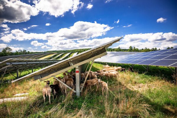 Europa nos observa con admiración: estamos aprovechando la mayor fuente de energía del Sistema Solar