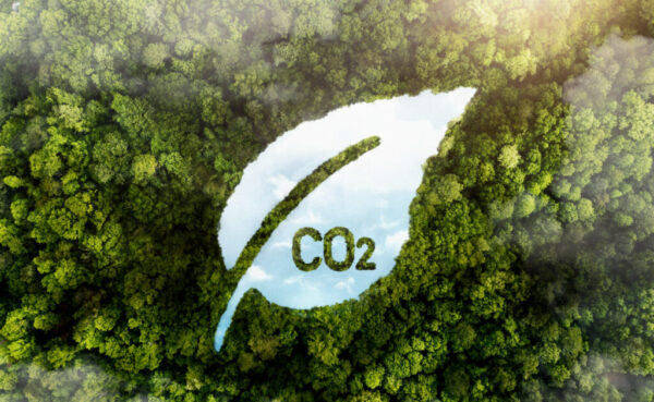 Qué es el CO2 biogénico y por qué despierta interés como negocio