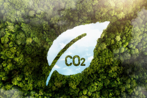 Qué es el CO2 biogénico y por qué despierta interés como negocio