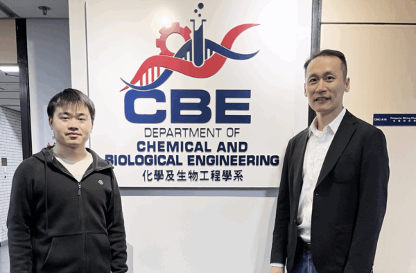 Científicos desarrollan baterías de estado sólido más seguras y eficientes gracias a una nueva arquitectura molecular