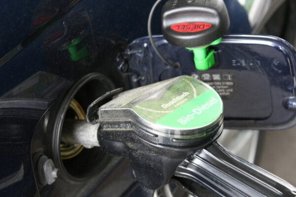 La escasez de gasolina dispara la demanda de coches eléctricos e híbridos enchufables en Rusia